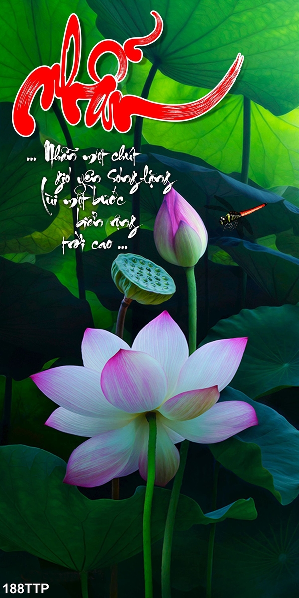 mau-tranh-canvas-thu-phap-188