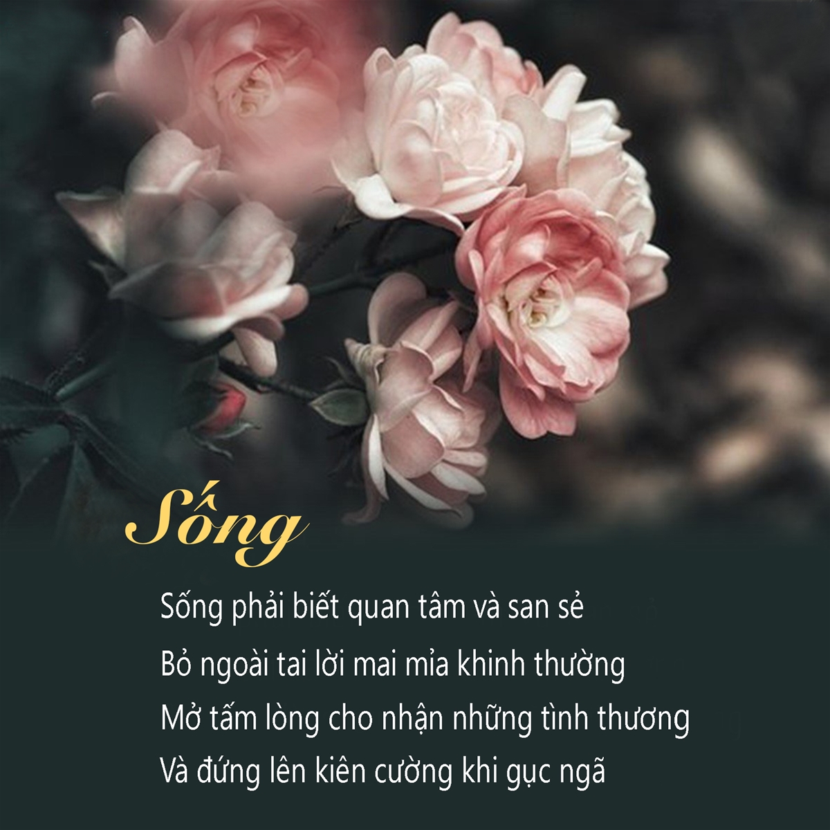 tranh-dong-luc-tranh-slogan